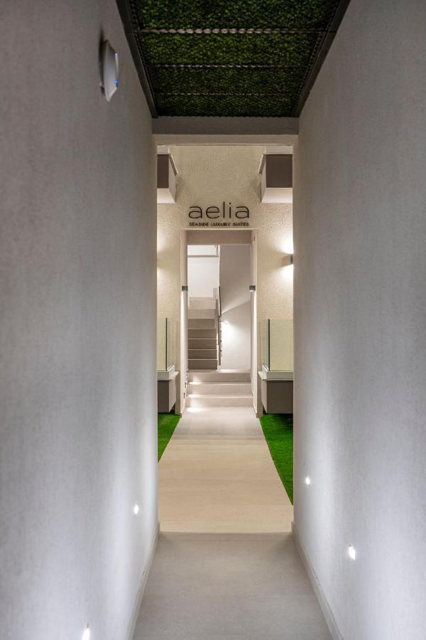 Aelia Seaside Luxury Suites ني كارفالي المظهر الخارجي الصورة